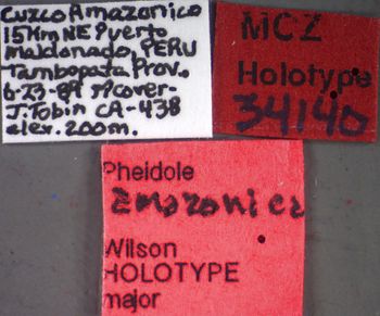 Media type: image;   Entomology 34140 Aspect: labels